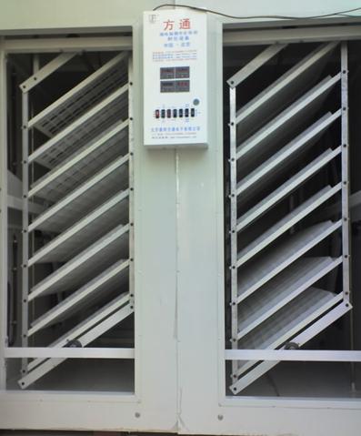 中型孵化機(jī)